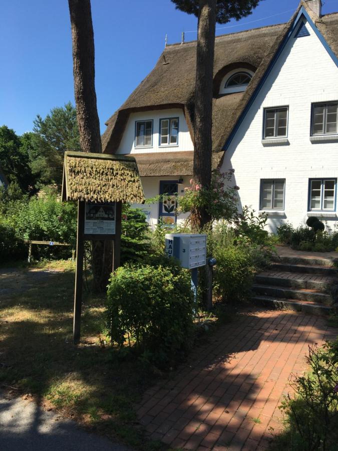 Fewo Sonnenblume Achtern Diek Zingst Bagian luar foto