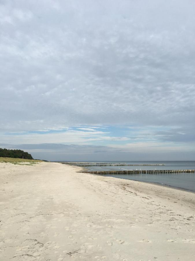 Fewo Sonnenblume Achtern Diek Zingst Bagian luar foto