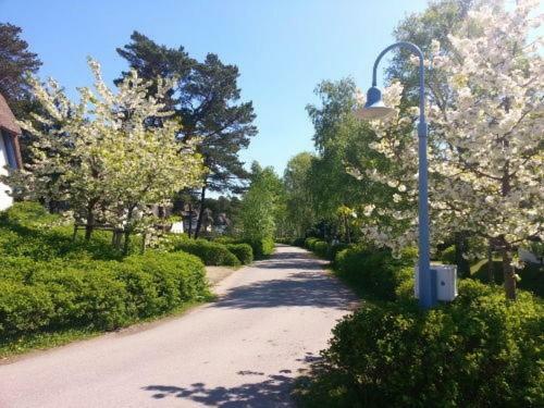 Fewo Sonnenblume Achtern Diek Zingst Bagian luar foto